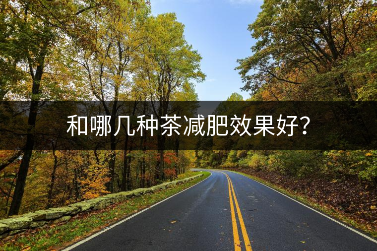 和哪幾種茶減肥效果好? 和哪幾種茶減肥效果好?