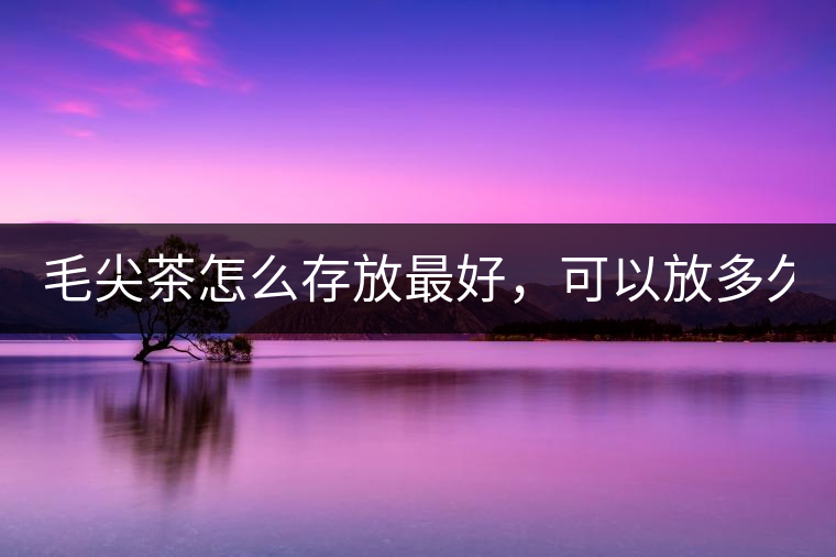 毛尖茶怎么存放最好，可以放多久？