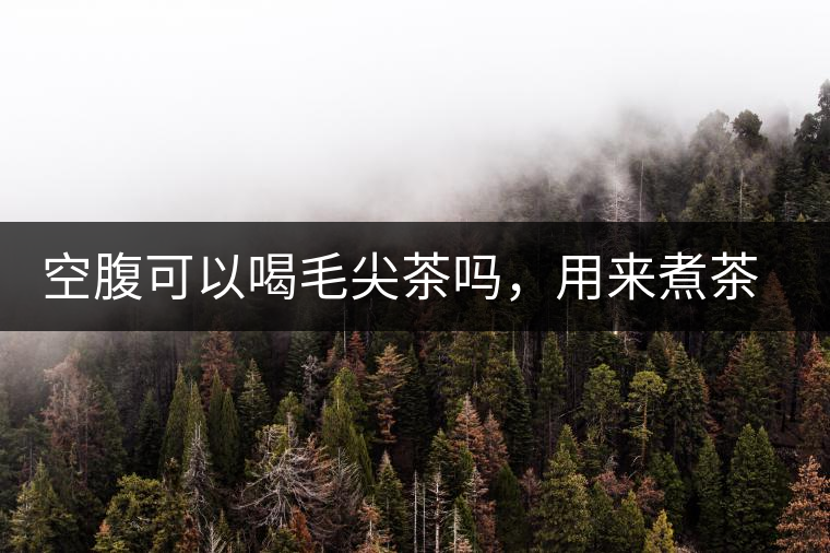 空腹可以喝毛尖茶嗎,用來煮茶葉蛋怎么樣? 空腹可以喝毛尖茶嗎,用來煮茶葉蛋怎么樣?