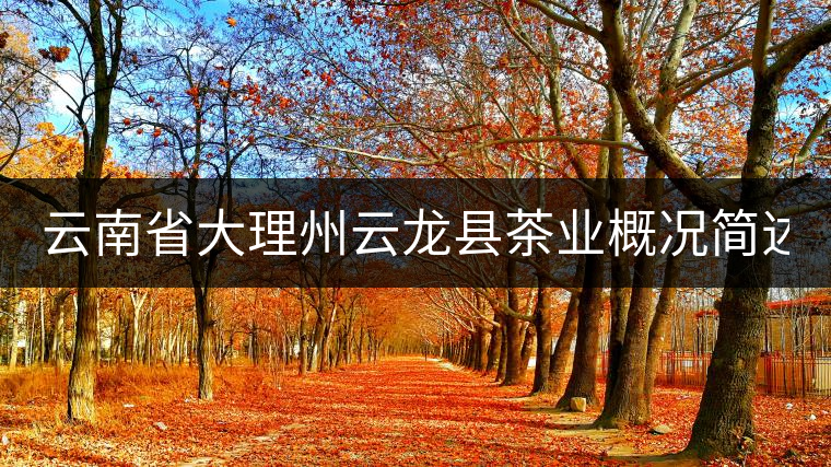云南省大理州云龍縣茶業概況簡述(第三講) 云南省大理州云龍縣茶業概況簡述(第三講)