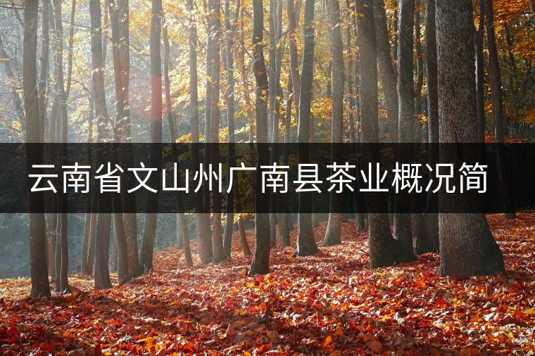 云南省文山州廣南縣茶業概況簡述 云南省文山州廣南縣茶業概況簡述