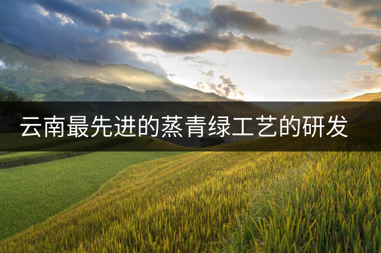 云南最先進的蒸青綠工藝的研發者是誰? 云南最先進的蒸青綠工藝的研發者是誰?