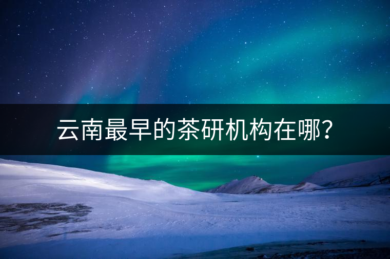 云南最早的茶研機(jī)構(gòu)在哪? 云南最早的茶研機(jī)構(gòu)在哪?