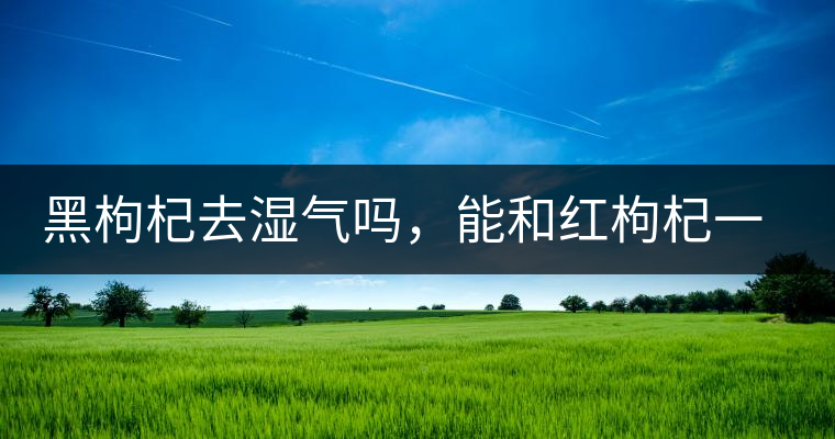 黑枸杞去濕氣嗎，能和紅枸杞一起泡嗎？