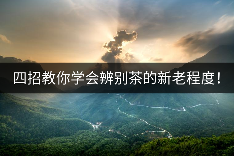 四招教你學(xué)會辨別茶的新老程度! 四招教你學(xué)會辨別茶的新老程度!