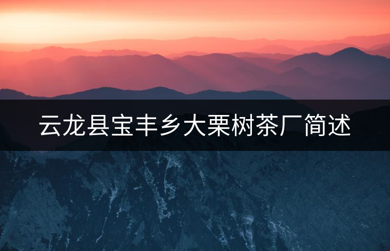 云龍縣寶豐鄉大栗樹茶廠簡述 云龍縣寶豐鄉大栗樹茶廠簡述