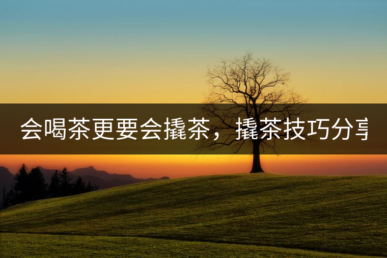 會喝茶更要會撬茶，撬茶技巧分享！
