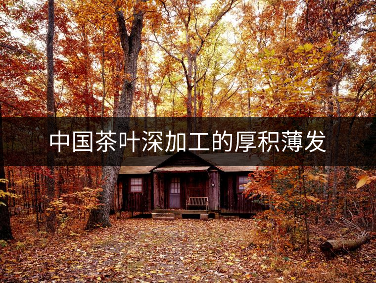 中國茶葉深加工的厚積薄發 中國茶葉深加工的厚積薄發