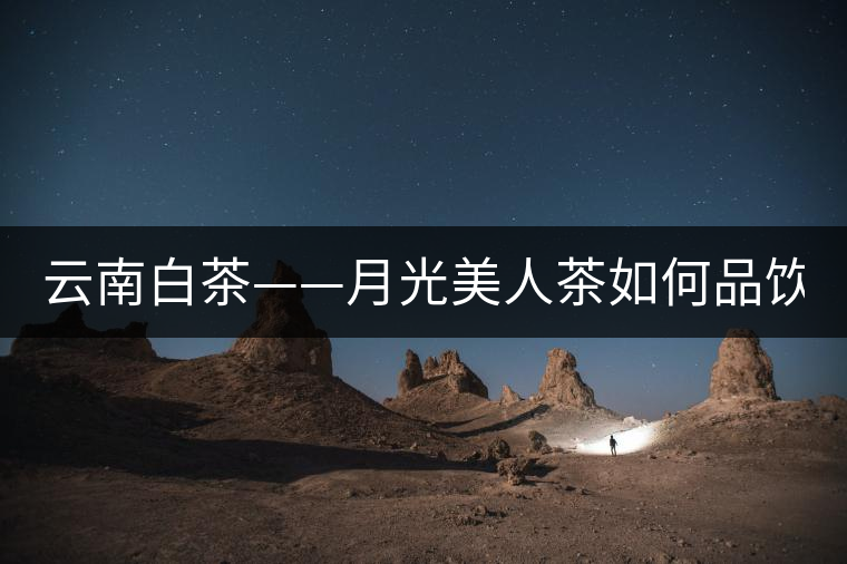 云南白茶——月光美人茶如何品飲? 云南白茶——月光美人茶如何品飲?