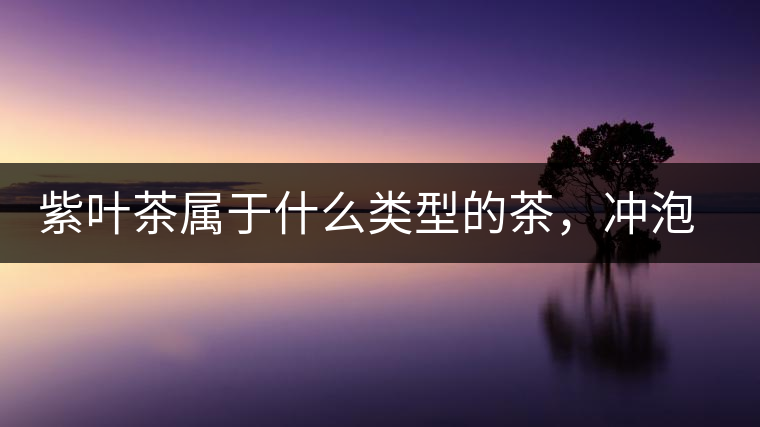 紫葉茶屬于什么類型的茶，沖泡需要注意什么？