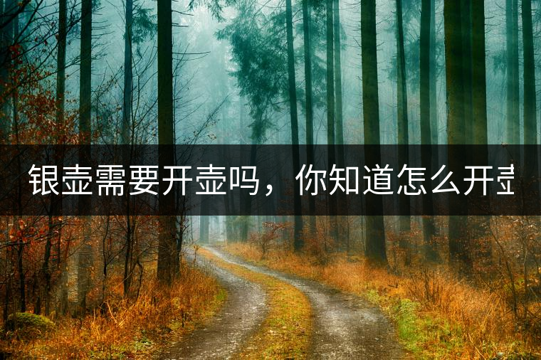 銀壺需要開壺嗎，你知道怎么開壺？