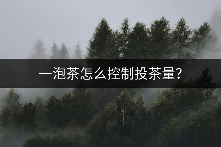 一泡茶怎么控制投茶量? 一泡茶怎么控制投茶量?