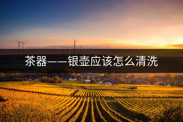 茶器——銀壺應該怎么清洗 茶器——銀壺應該怎么清洗