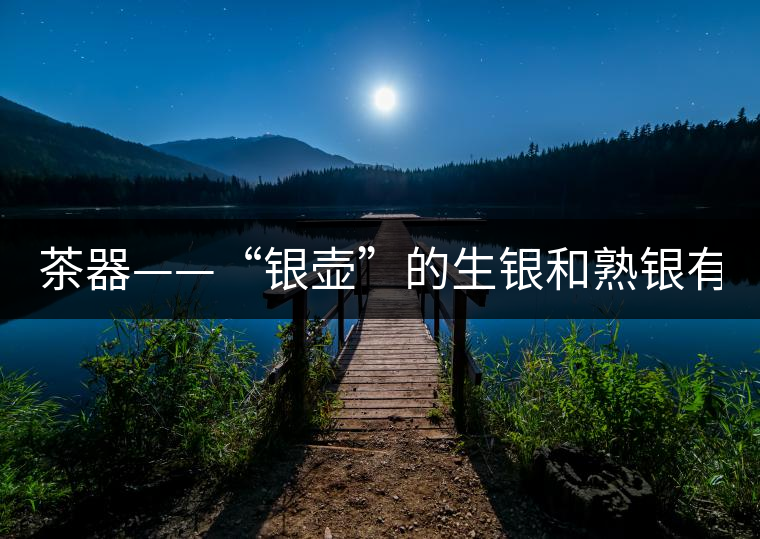 茶器——“銀壺”的生銀和熟銀有什么區別嗎？