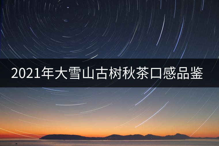 2021年大雪山古樹秋茶口感品鑒? 2021年大雪山古樹秋茶口感品鑒?