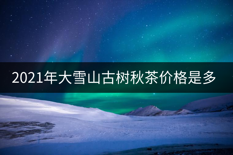 2021年大雪山古樹秋茶價(jià)格是多少？