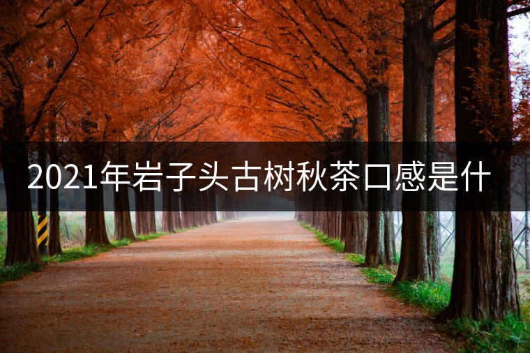 2021年巖子頭古樹秋茶口感是什么？