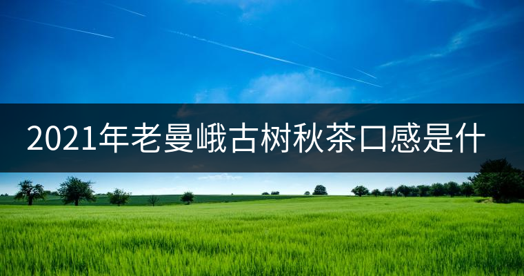 2021年老曼峨古樹秋茶口感是什么? 2021年老曼峨古樹秋茶口感是什么?