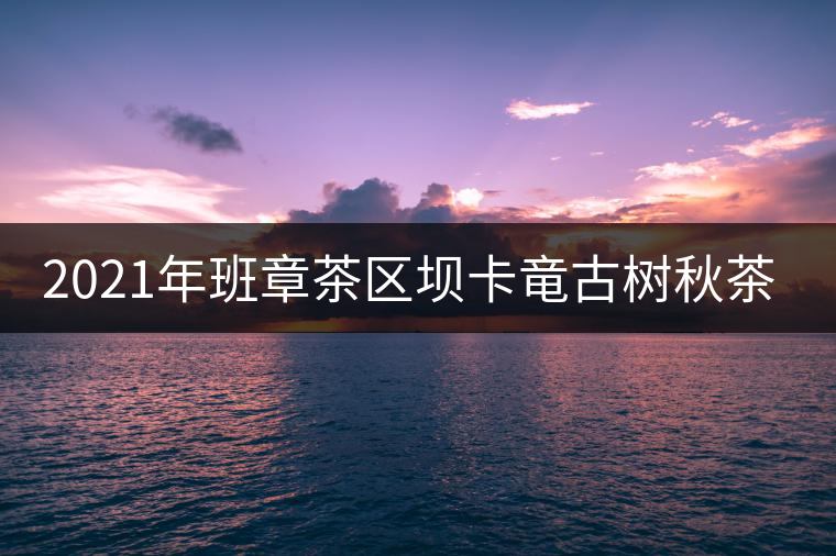 2021年班章茶區壩卡竜古樹秋茶多少錢一公斤? 2021年班章茶區壩卡竜古樹秋茶多少錢一公斤?