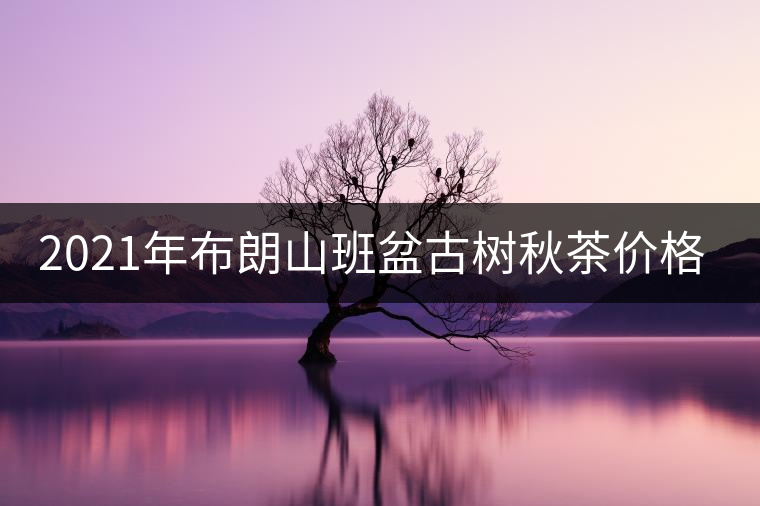 2021年布朗山班盆古樹秋茶價格？