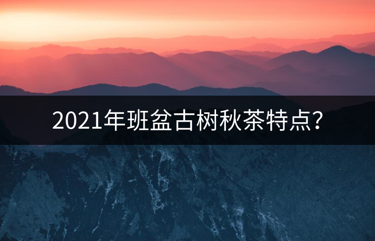 2021年班盆古樹秋茶特點(diǎn)? 2021年班盆古樹秋茶特點(diǎn)?