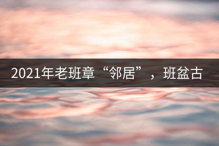 2021年老班章“鄰居”,班盆古樹秋茶茶來了! 2021年老班章“鄰居”,班盆古樹秋茶茶來了!