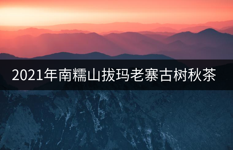 2021年南糯山拔瑪老寨古樹秋茶價格? 2021年南糯山拔瑪老寨古樹秋茶價格?
