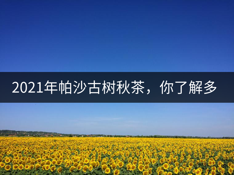 2021年帕沙古樹秋茶,你了解多少? 2021年帕沙古樹秋茶,你了解多少?
