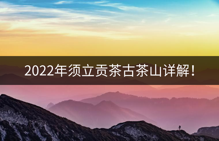 2022年須立貢茶古茶山詳解！
