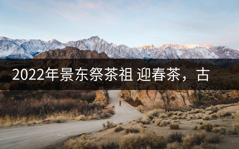 2022年景東祭茶祖 迎春茶，古樹春茶多少錢一公斤？