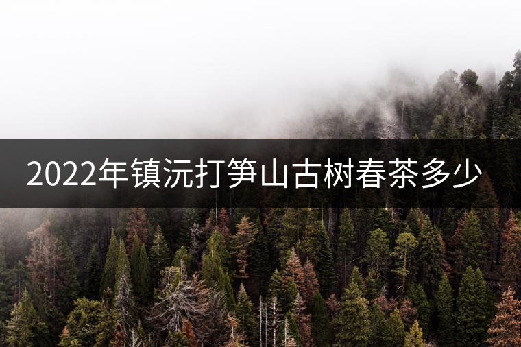 2022年鎮沅打筍山古樹春茶多少錢一公斤? 2022年鎮沅打筍山古樹春茶多少錢一公斤?