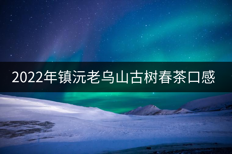 2022年鎮沅老烏山古樹春茶口感? 2022年鎮沅老烏山古樹春茶口感?