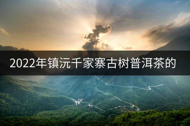 2022年鎮沅千家寨古樹普洱茶的傳說 2022年鎮沅千家寨古樹普洱茶的傳說