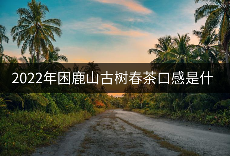 2022年困鹿山古樹春茶口感是什么？