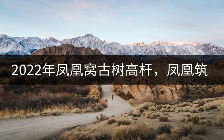 2022年鳳凰窩古樹高桿,鳳凰筑巢的地方 2022年鳳凰窩古樹高桿,鳳凰筑巢的地方