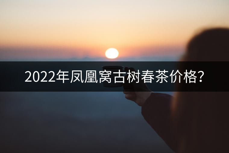2022年鳳凰窩古樹春茶價格? 2022年鳳凰窩古樹春茶價格?
