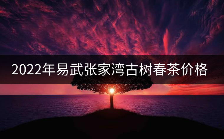 2022年易武張家灣古樹春茶價格? 2022年易武張家灣古樹春茶價格?