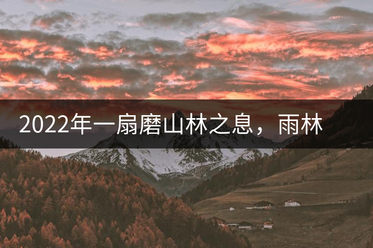 2022年一扇磨山林之息，雨林之味，原始之態