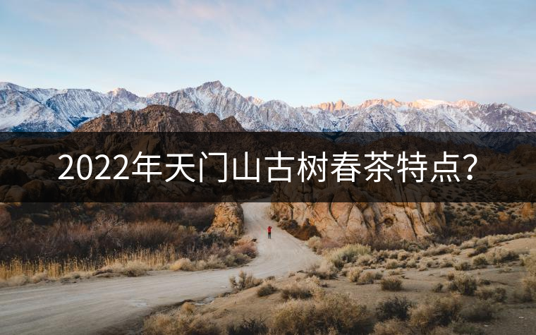 2022年天門山古樹春茶特點(diǎn)？