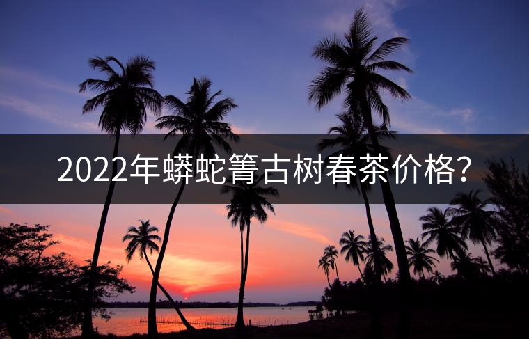 2022年蟒蛇箐古樹春茶價格? 2022年蟒蛇箐古樹春茶價格?