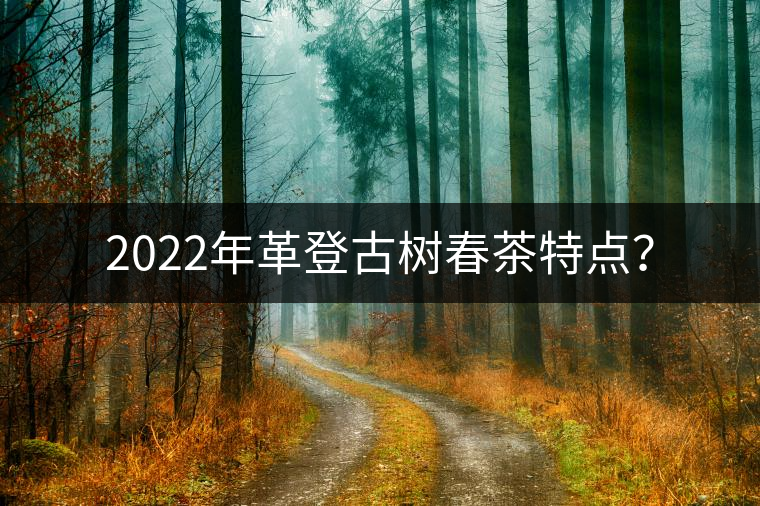 2022年革登古樹春茶特點? 2022年革登古樹春茶特點?