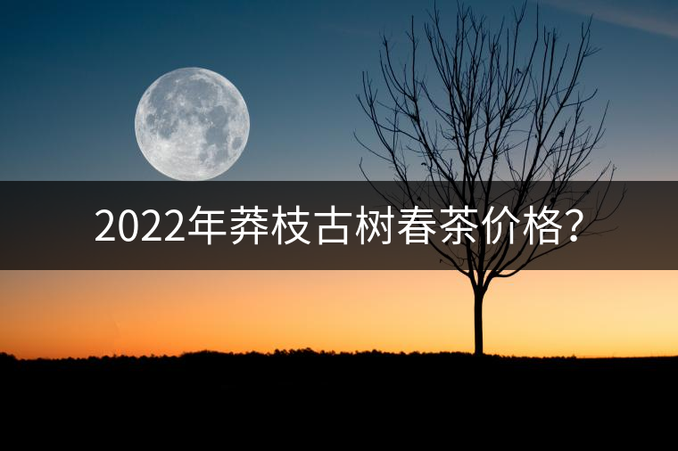 2022年莽枝古樹春茶價格？