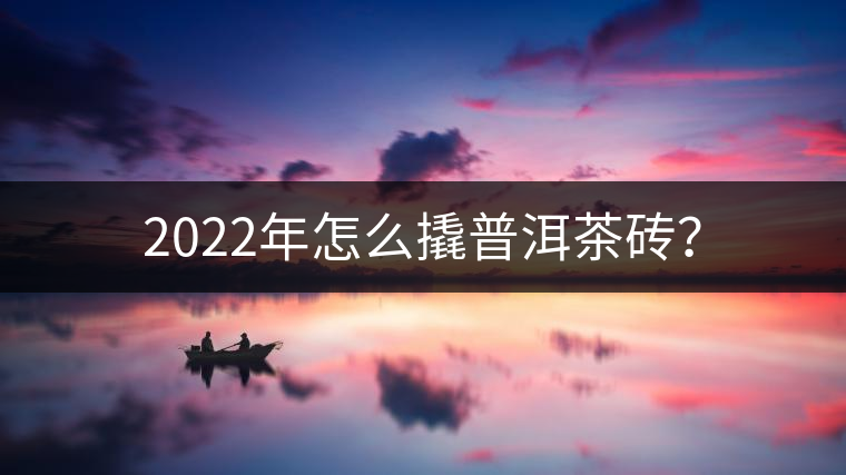 2022年怎么撬普洱茶磚？