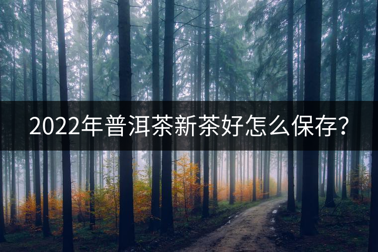 2022年普洱茶新茶好怎么保存? 2022年普洱茶新茶好怎么保存?