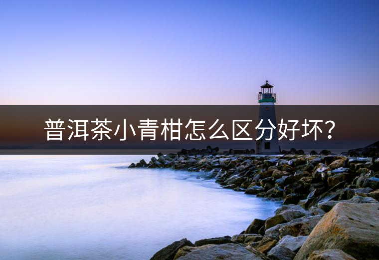 普洱茶小青柑怎么區分好壞? 普洱茶小青柑怎么區分好壞?