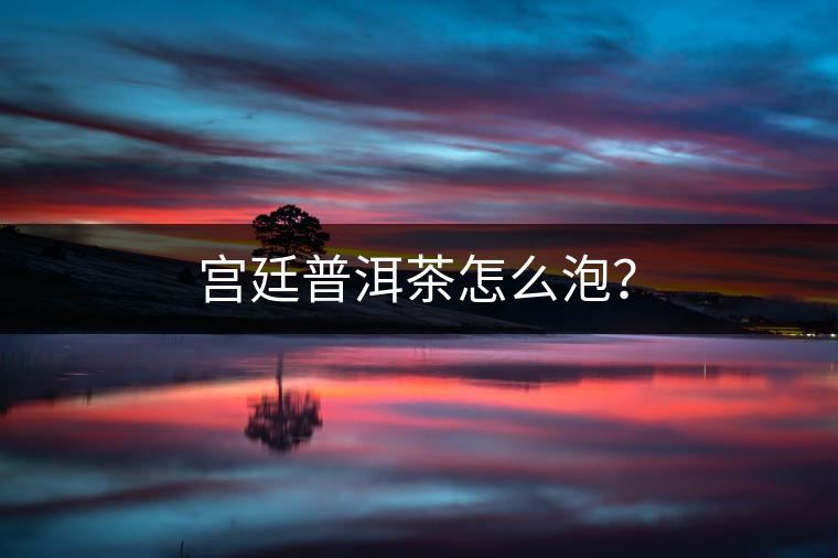 宮廷普洱茶怎么泡？