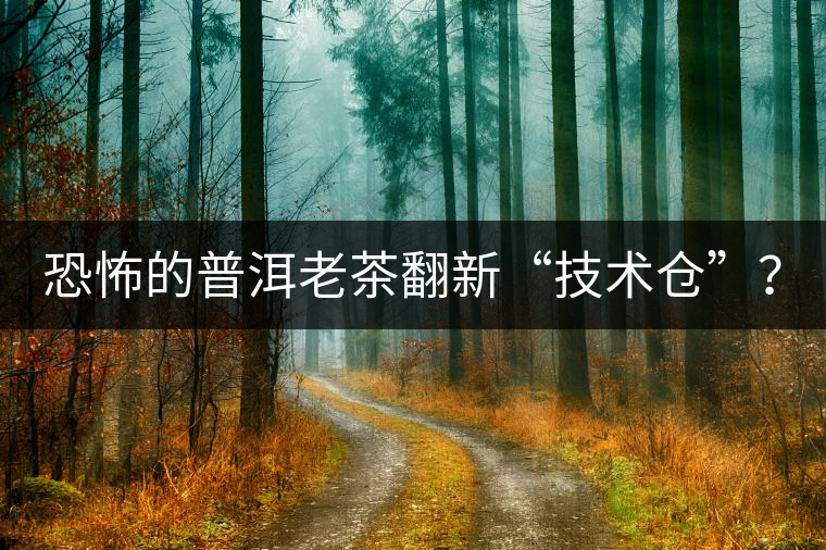 恐怖的普洱老茶翻新“技術倉”？