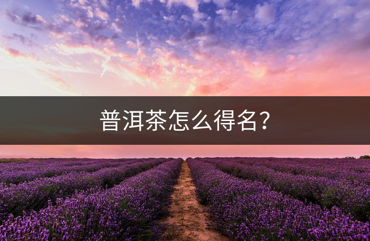 普洱茶怎么得名？