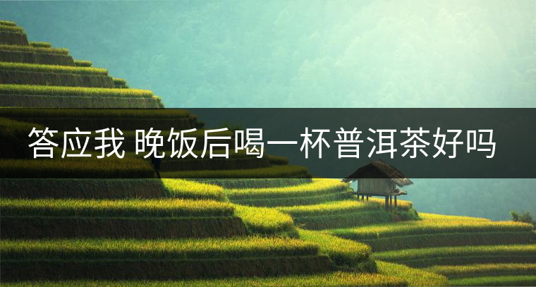 答應(yīng)我 晚飯后喝一杯普洱茶好嗎? 答應(yīng)我 晚飯后喝一杯普洱茶好嗎?