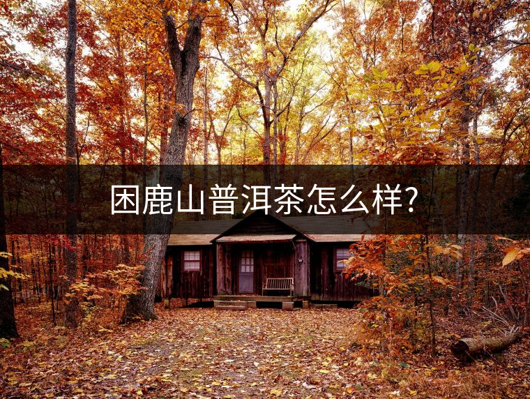 困鹿山普洱茶怎么樣? 困鹿山普洱茶怎么樣?